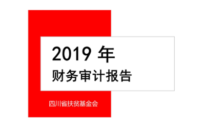 2019年财务审计报告