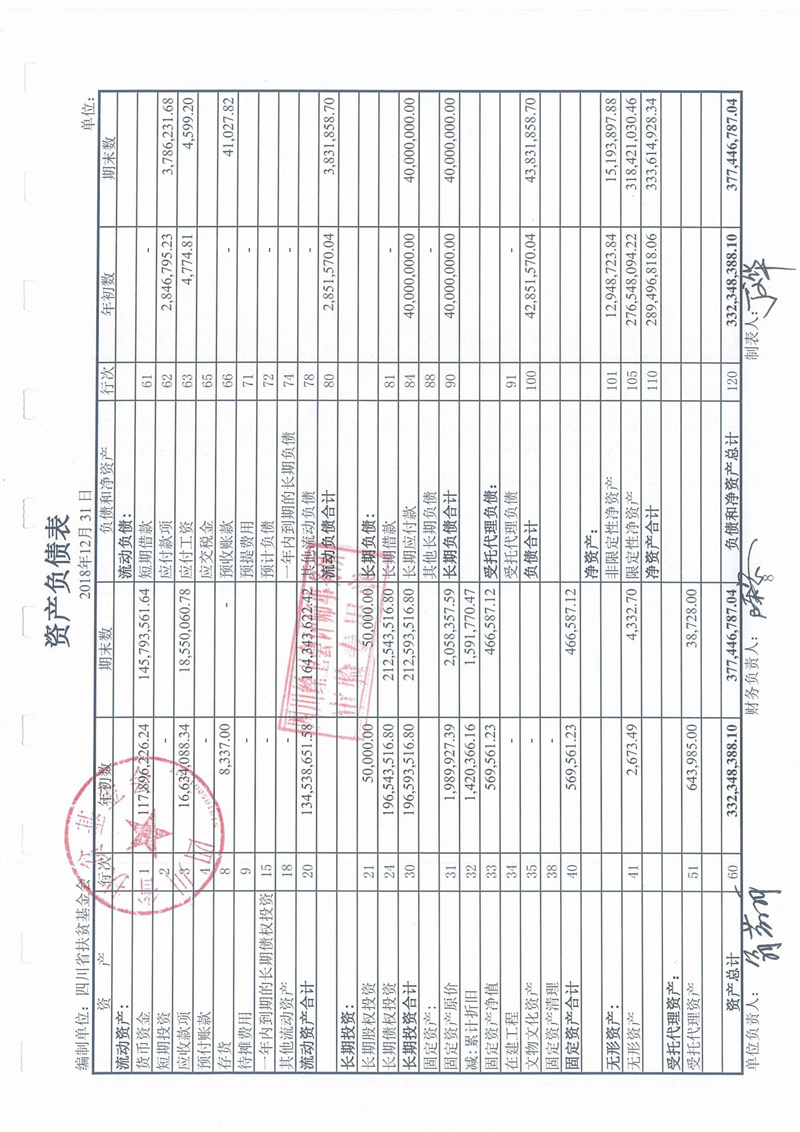 2018年财务审计报告(图10)