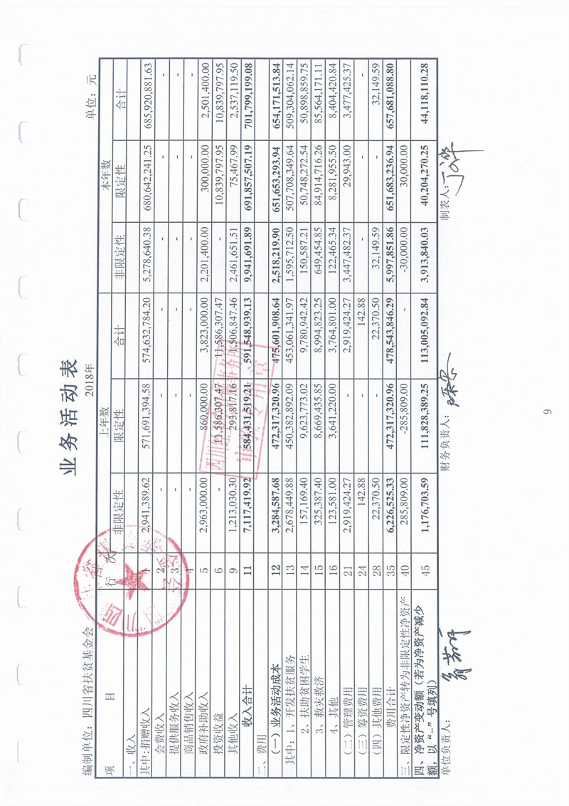 2018年财务审计报告(图11)