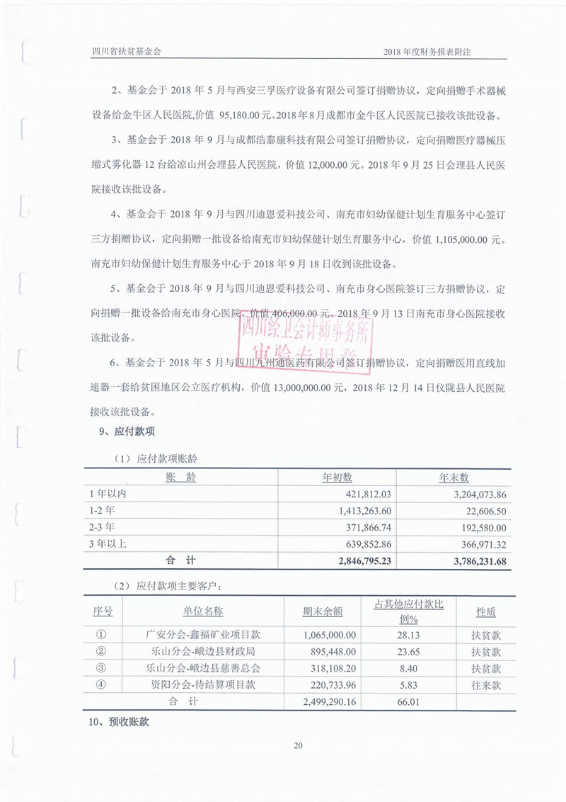 2018年财务审计报告(图21)