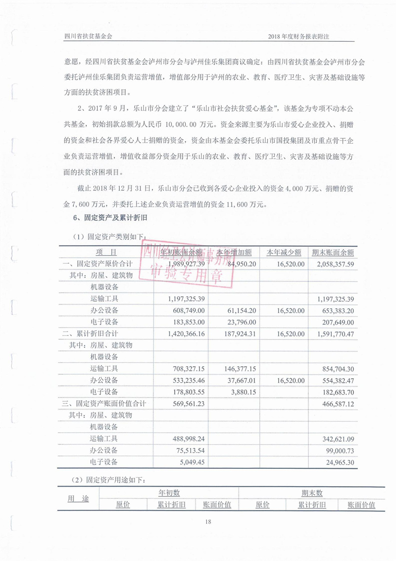 2018年财务审计报告(图19)