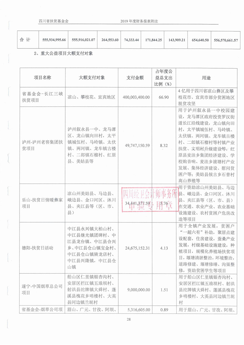 2019年财务审计报告(图30)