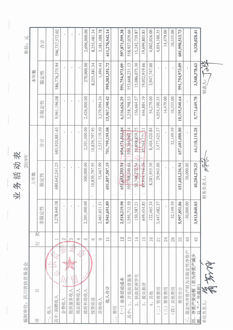 2019年财务审计报告(图11)