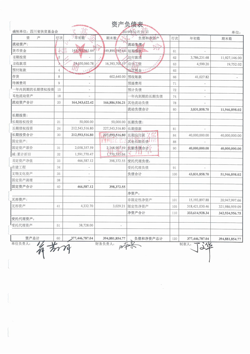 2019年财务审计报告(图10)