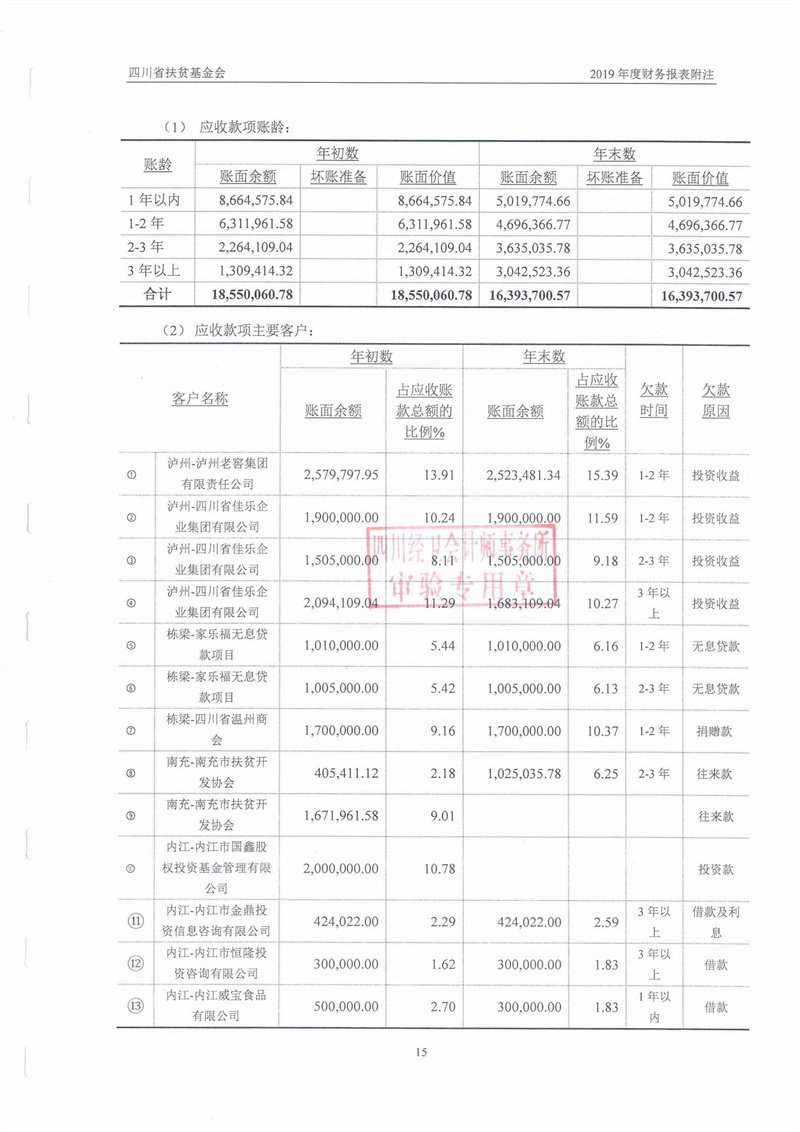 2019年财务审计报告(图17)