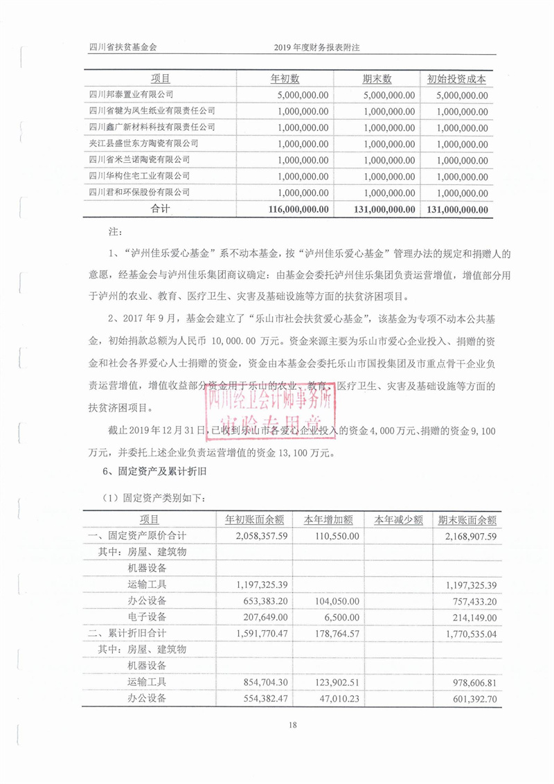 2019年财务审计报告(图20)