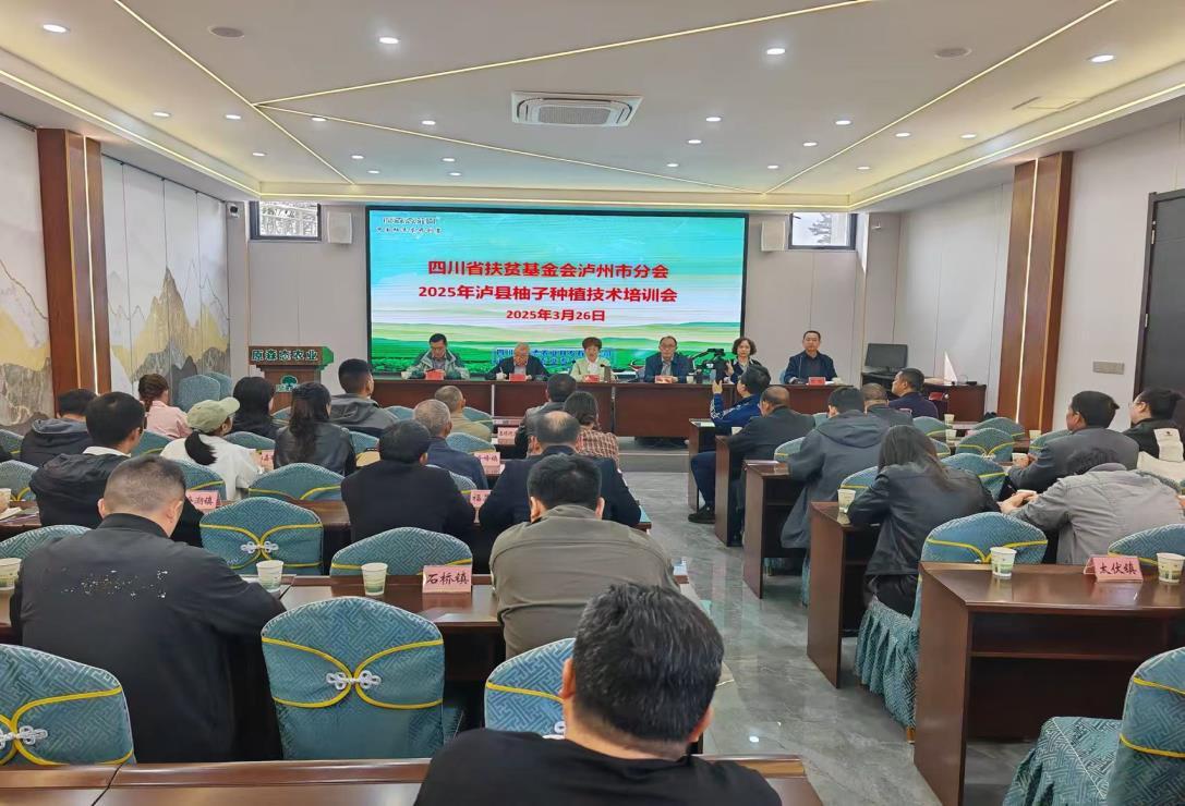 我会泸州市办事处在泸县开展柚子种植技术培训会(图2)